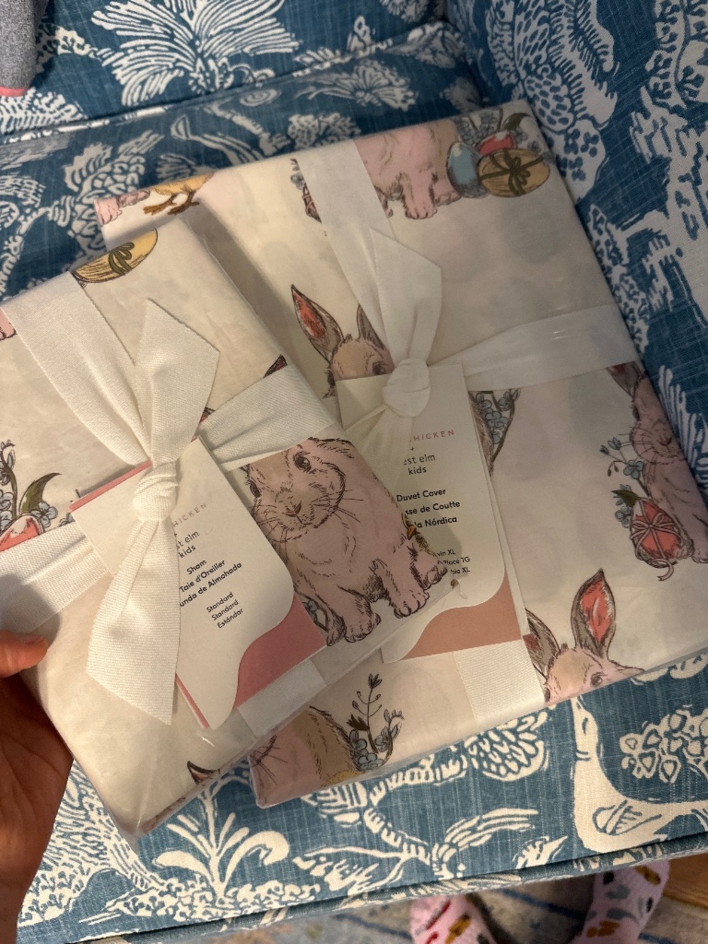 Pink chicken/West Elm twin duvet and sham